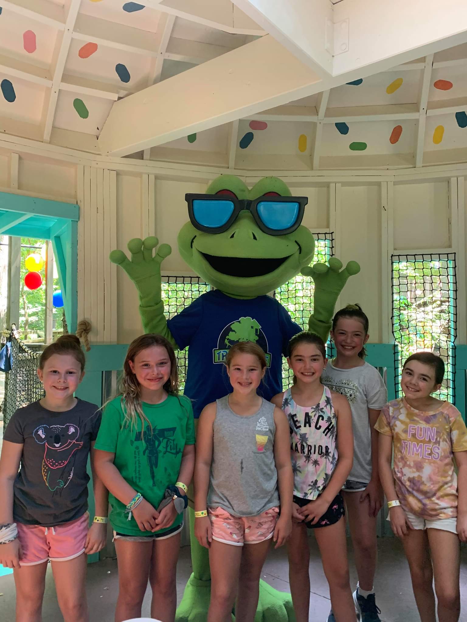 Picking the Perfect Birthday Party at Treehouse World